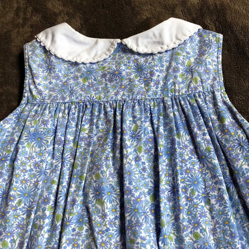 Daisy Blue - Picture 6 of 7
